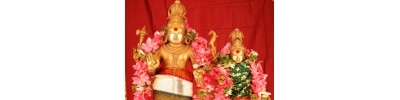 நங்கநல்லூர்